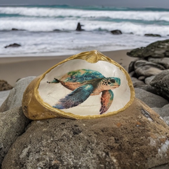 Colorful Sea Turtle Gift Shell - Picture 3 of 5